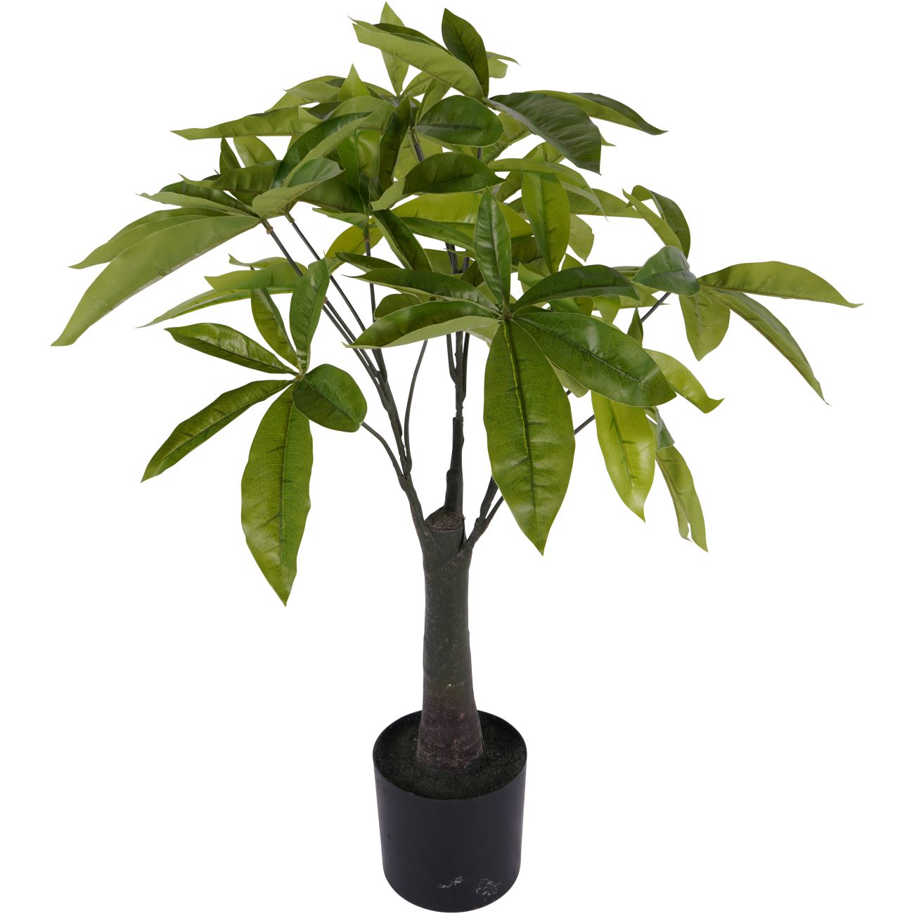 Artificial Pachira Money Plant 65cm Large